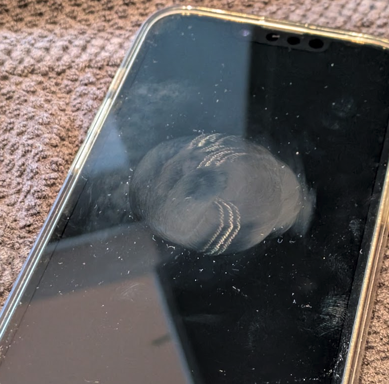 Greasy circle in the middle of my phone screen